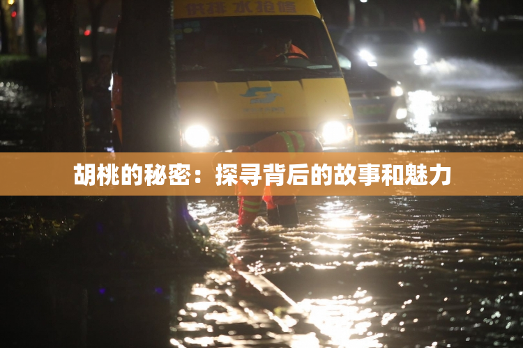 胡桃的秘密：探寻背后的故事和魅力