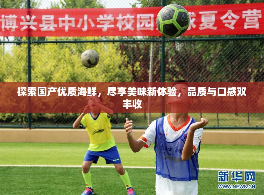 探索国产优质海鲜，尽享美味新体验，品质与口感双丰收
