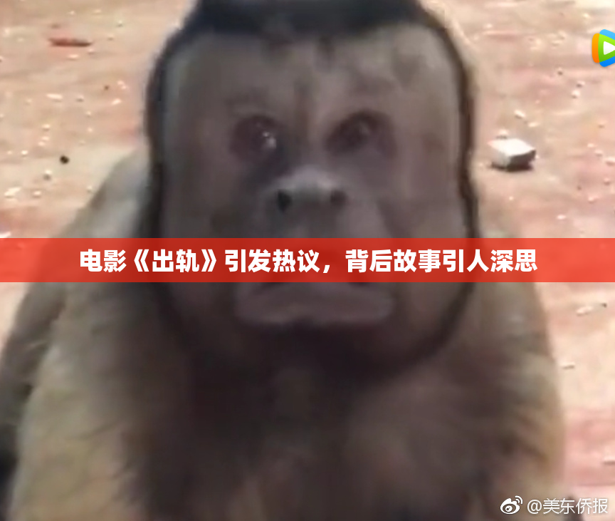 电影《出轨》引发热议，背后故事引人深思