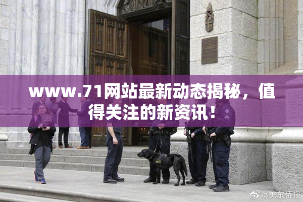 www.71网站最新动态揭秘，值得关注的新资讯！