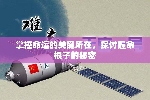 掌控命运的关键所在，探讨握命根子的秘密
