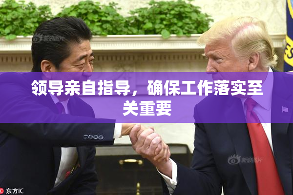 领导亲自指导，确保工作落实至关重要