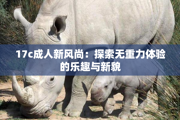 17c成人新风尚：探索无重力体验的乐趣与新貌