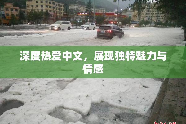 深度热爱中文，展现独特魅力与情感