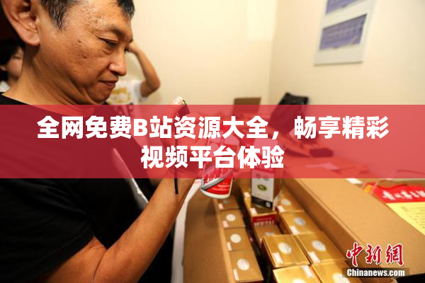 全网免费B站资源大全，畅享精彩视频平台体验