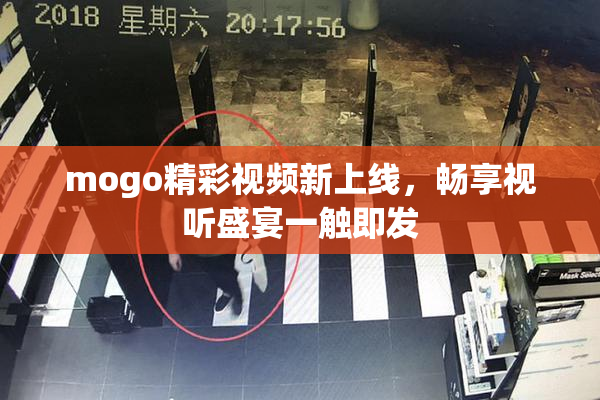 mogo精彩视频新上线，畅享视听盛宴一触即发
