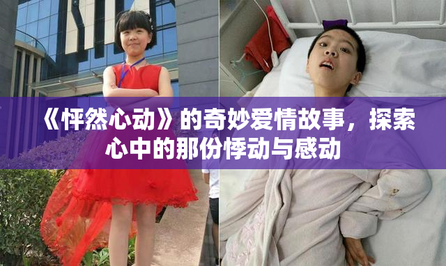 《怦然心动》的奇妙爱情故事，探索心中的那份悸动与感动