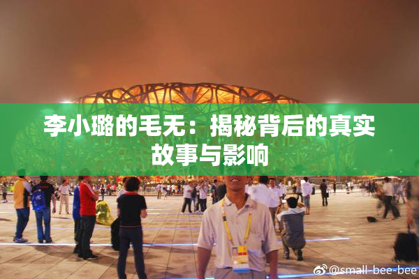 李小璐的毛无：揭秘背后的真实故事与影响