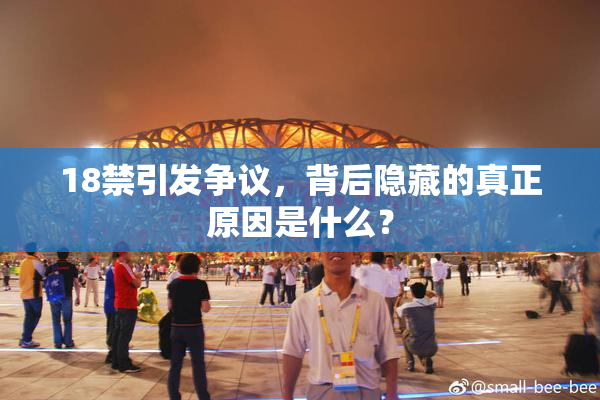 18禁引发争议，背后隐藏的真正原因是什么？