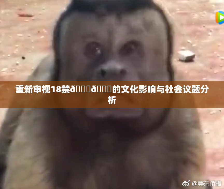 重新审视18禁🍆🍑的文化影响与社会议题分析