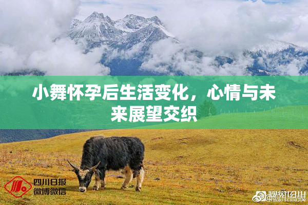 小舞怀孕后生活变化，心情与未来展望交织