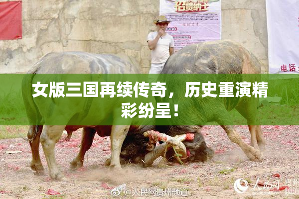 女版三国再续传奇，历史重演精彩纷呈！
