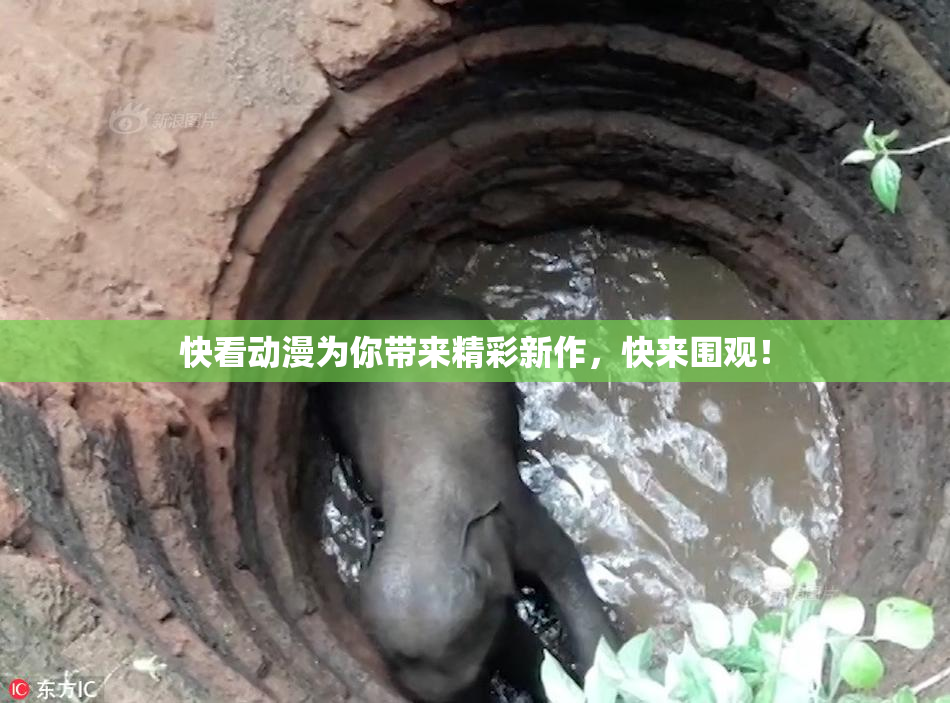 快看动漫为你带来精彩新作，快来围观！