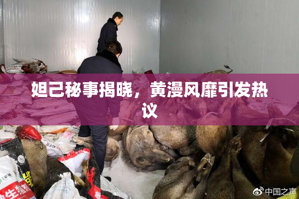 妲己秘事揭晓，黄漫风靡引发热议