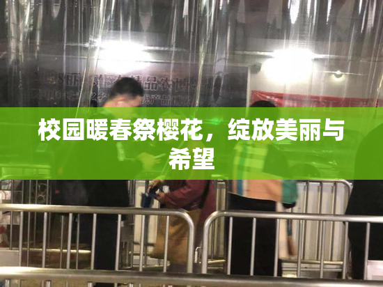 校园暖春祭樱花，绽放美丽与希望