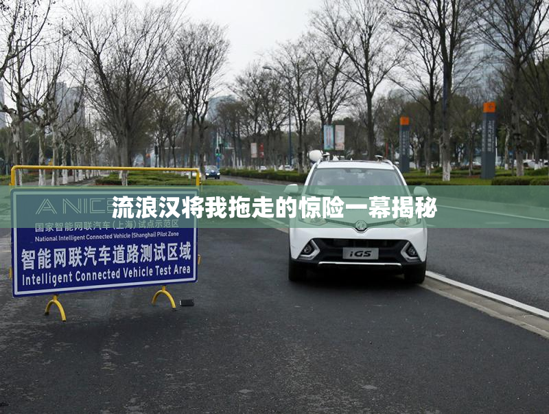 流浪汉将我拖走的惊险一幕揭秘