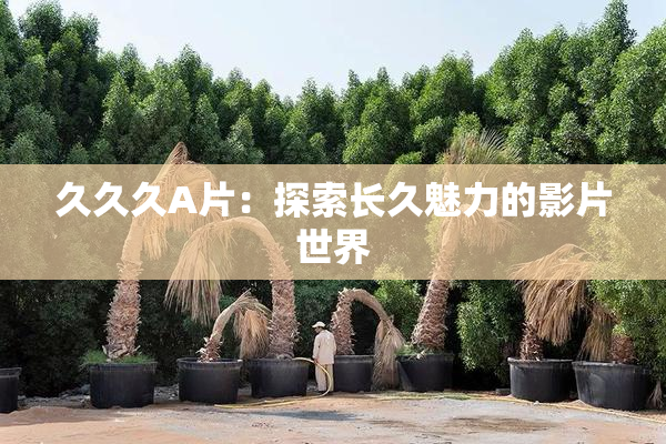 久久久A片：探索长久魅力的影片世界
