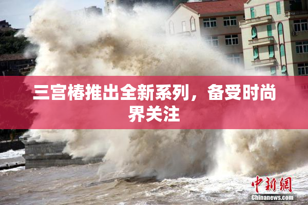 三宫椿推出全新系列，备受时尚界关注