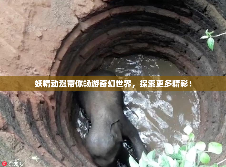 妖精动漫带你畅游奇幻世界，探索更多精彩！