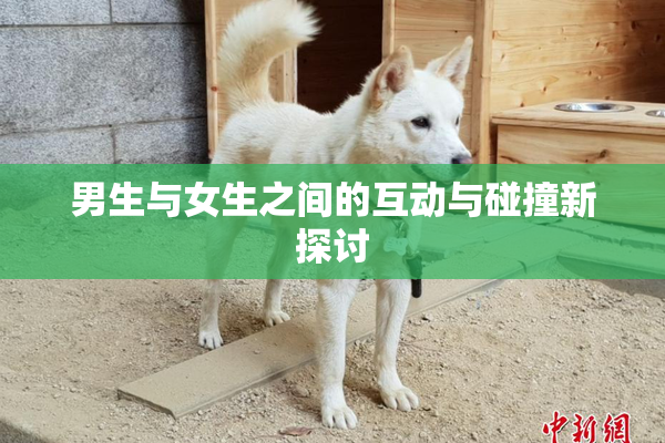 男生与女生之间的互动与碰撞新探讨