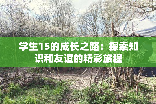 学生15的成长之路：探索知识和友谊的精彩旅程