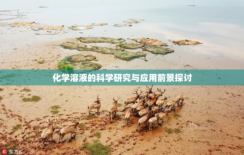化学溶液的科学研究与应用前景探讨