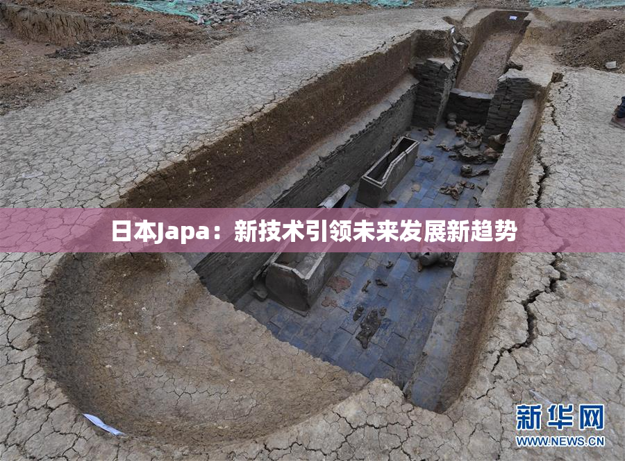 日本Japa：新技术引领未来发展新趋势