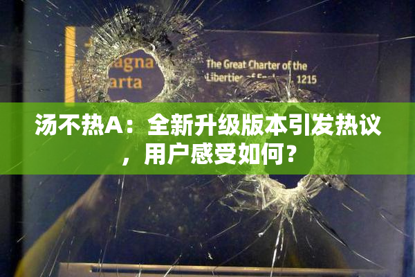 汤不热A：全新升级版本引发热议，用户感受如何？