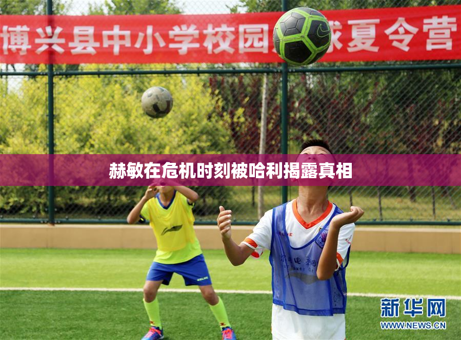 赫敏在危机时刻被哈利揭露真相