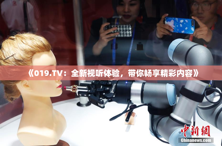 《019.TV：全新视听体验，带你畅享精彩内容》