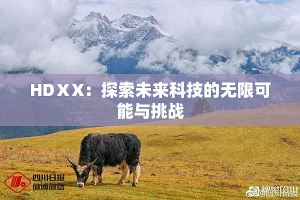 HDⅩX：探索未来科技的无限可能与挑战