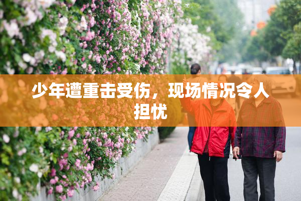 少年遭重击受伤，现场情况令人担忧