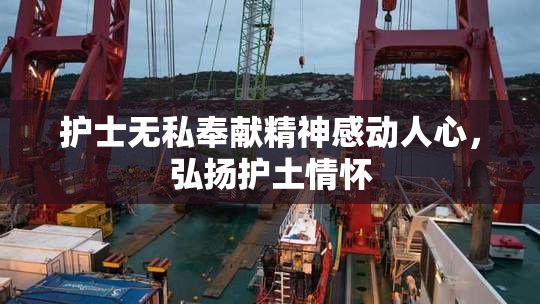 护士无私奉献精神感动人心，弘扬护土情怀