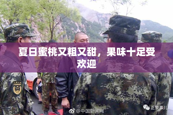 夏日蜜桃又粗又甜，果味十足受欢迎