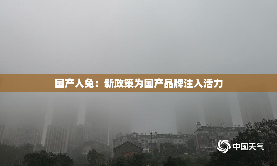 国产人免：新政策为国产品牌注入活力