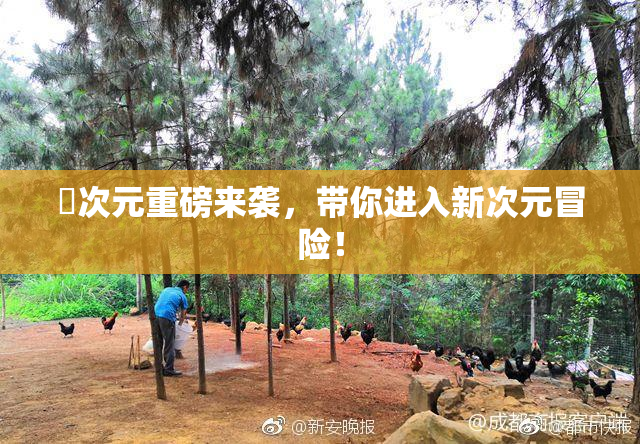 囧次元重磅来袭，带你进入新次元冒险！