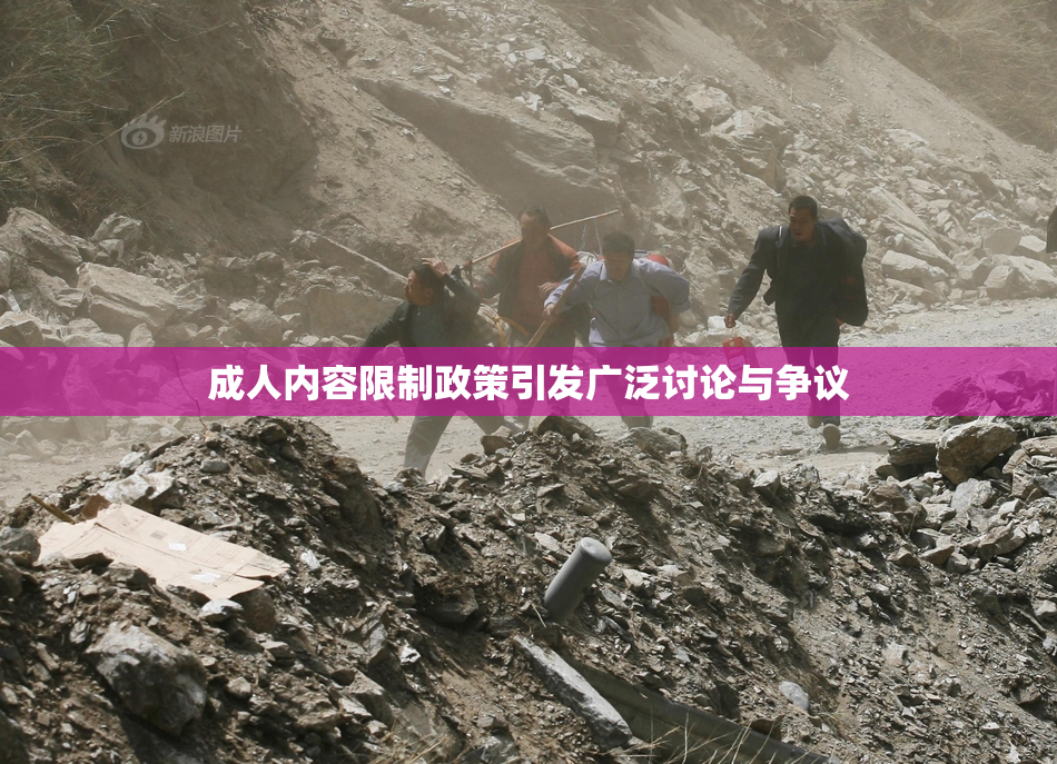 成人内容限制政策引发广泛讨论与争议