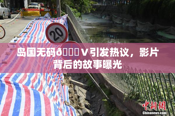 岛国无码🈚Ⅴ引发热议，影片背后的故事曝光