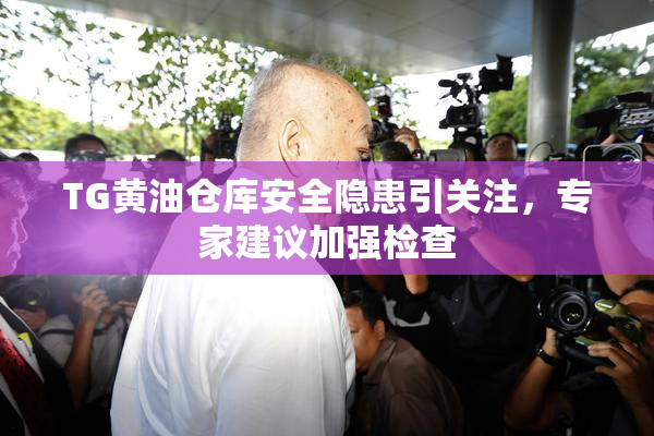 TG黄油仓库安全隐患引关注，专家建议加强检查