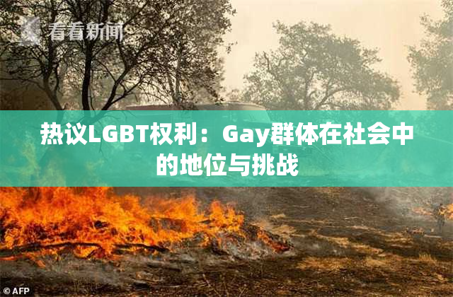 热议LGBT权利：Gay群体在社会中的地位与挑战