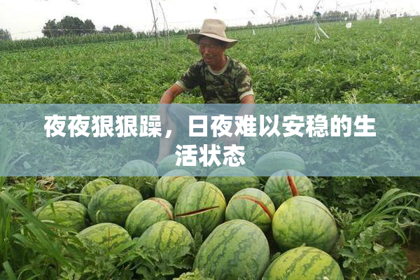 夜夜狠狠躁，日夜难以安稳的生活状态