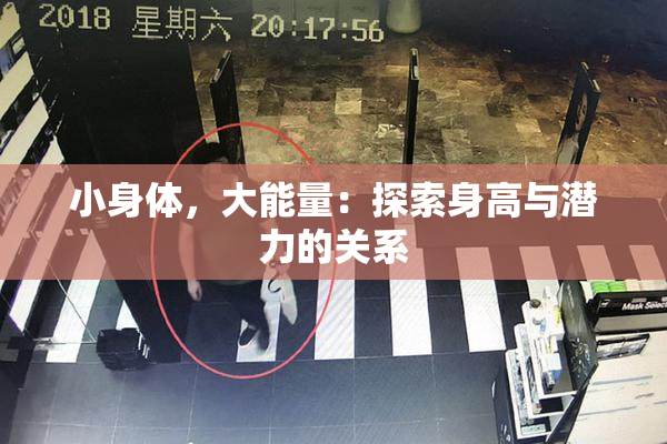 小身体，大能量：探索身高与潜力的关系