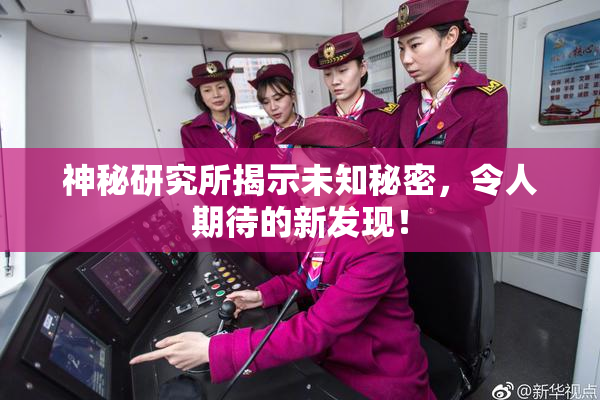 神秘研究所揭示未知秘密，令人期待的新发现！