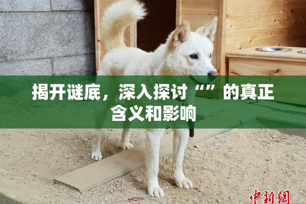揭开谜底，深入探讨“”的真正含义和影响