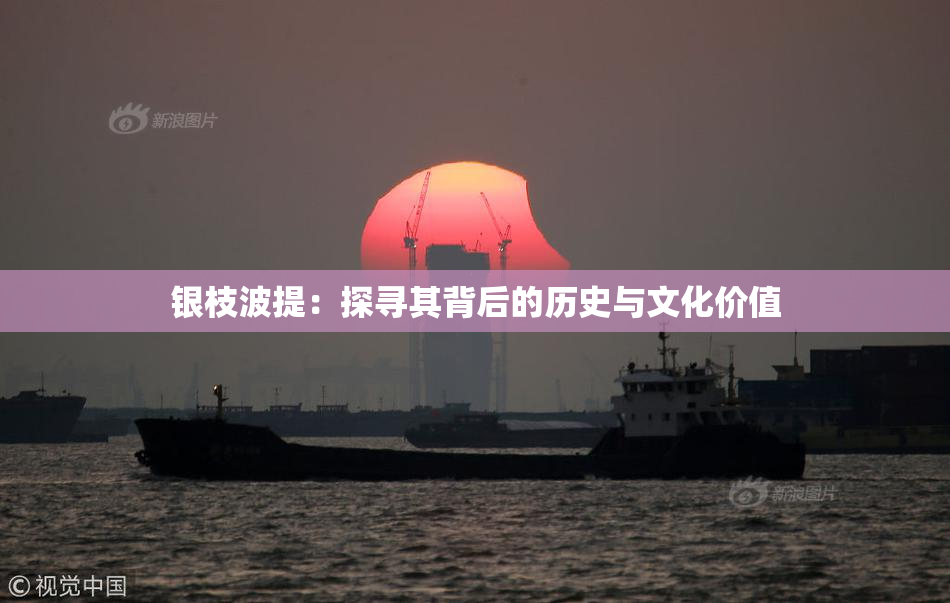 银枝波提：探寻其背后的历史与文化价值