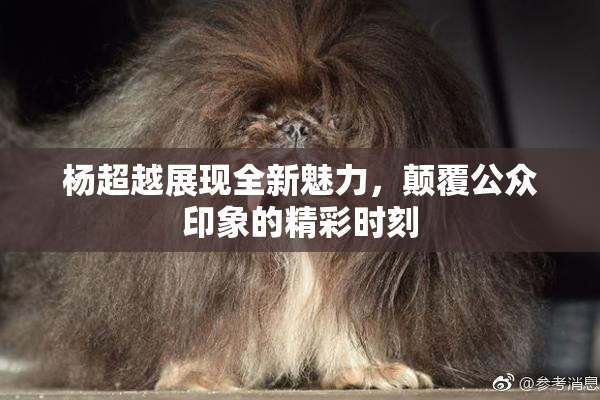杨超越展现全新魅力，颠覆公众印象的精彩时刻