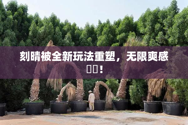 刻晴被全新玩法重塑，无限爽感來襲！