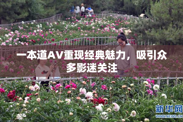 一本道AV重现经典魅力，吸引众多影迷关注