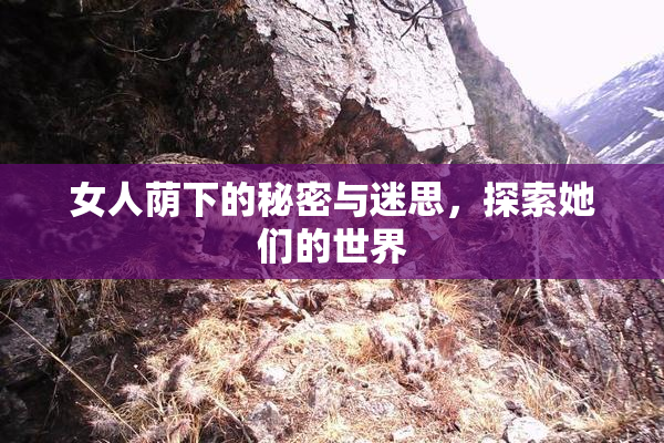 女人荫下的秘密与迷思，探索她们的世界