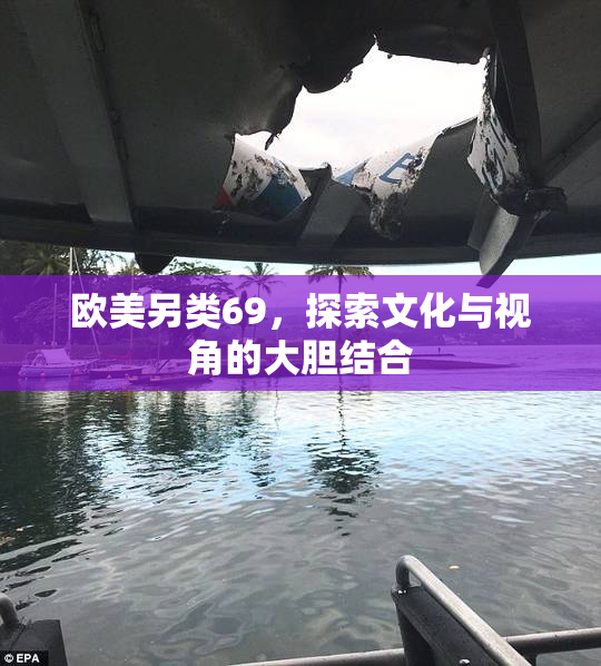 欧美另类69，探索文化与视角的大胆结合